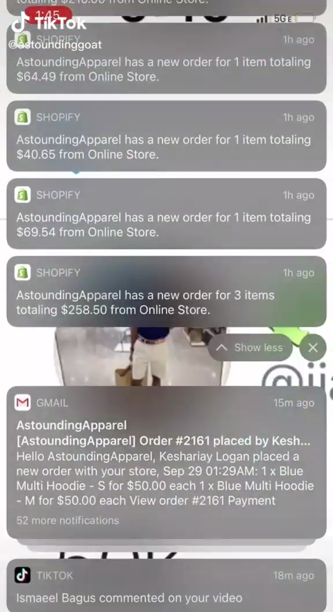 TikTok Ad Stats preview
